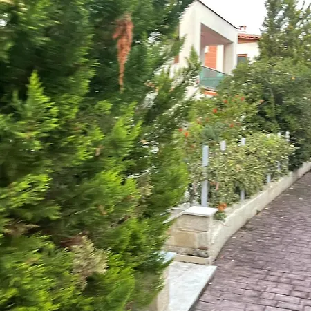 Lena's House * Kriopijí